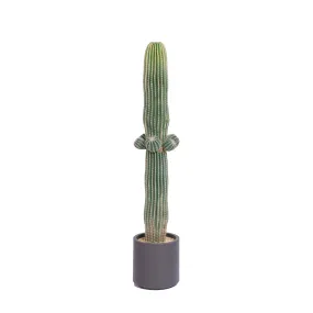 54" Artificial Faux Cactus in Stylish Planter - Vintage Home Decor Accent