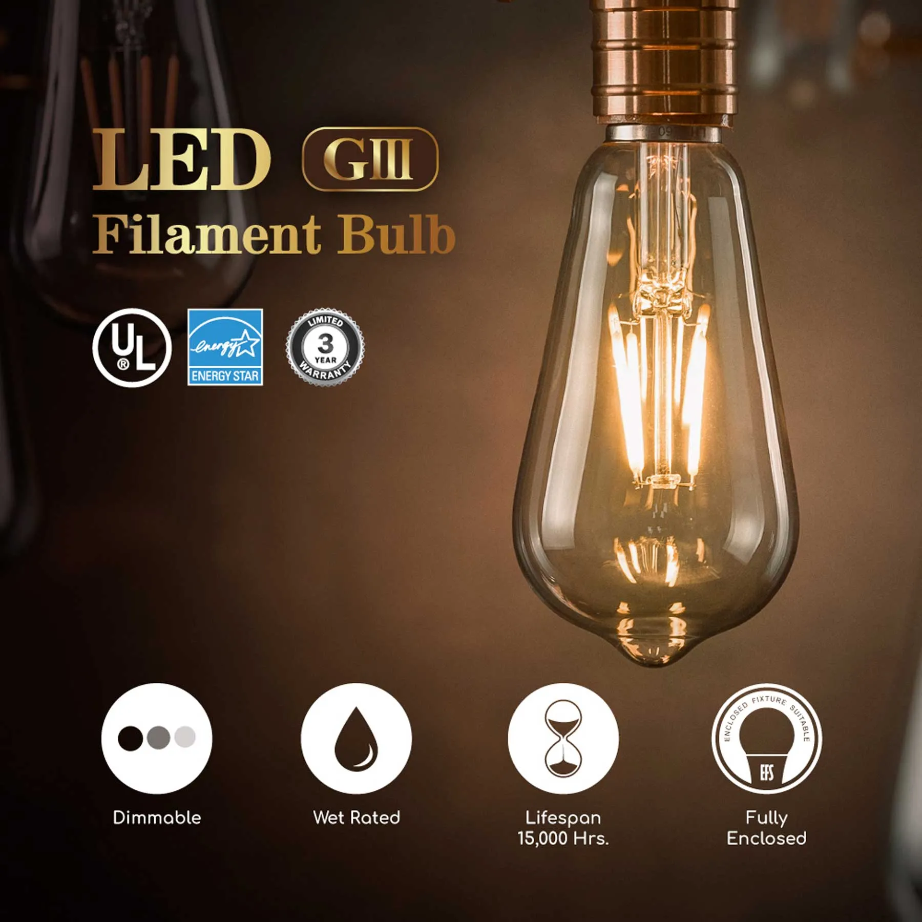 75-Watt Equivalent ST19 E26 Filament LED Light Bulbs