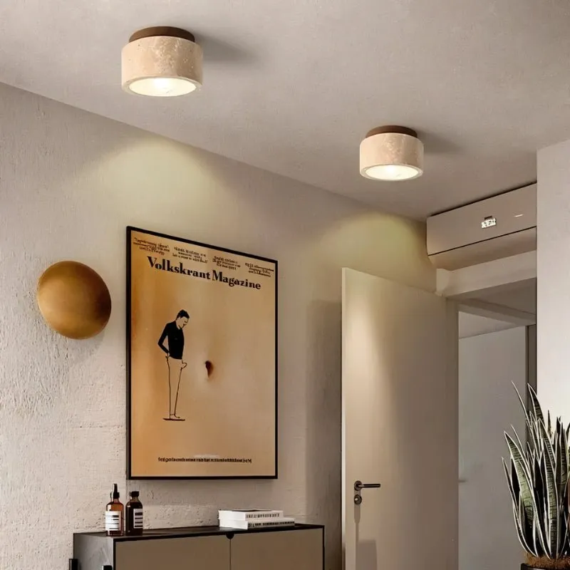 Alorium Ceiling Light