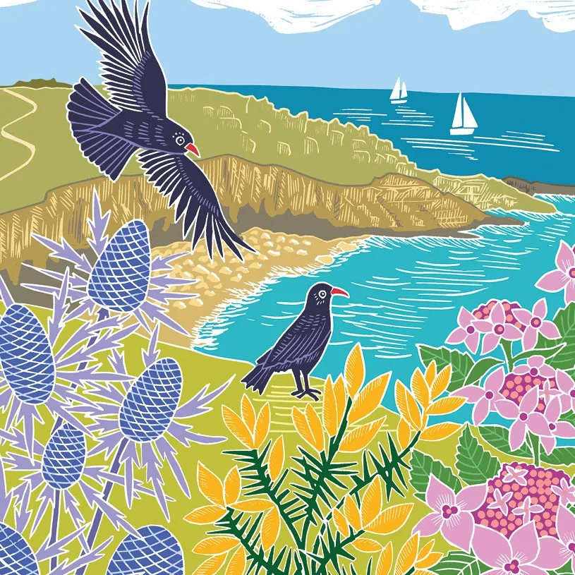 Choughs on the cliff card