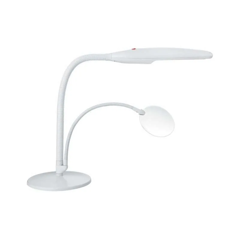 Daylight™LED Swan Floor Lamp