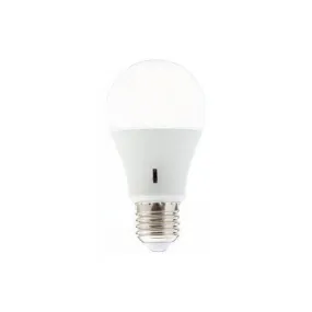 E27 Led Lightbulb 12W