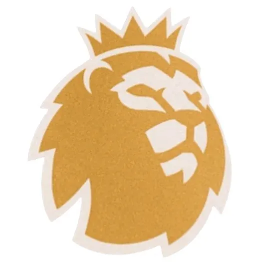 English Premier League 2023- Champion Gold Sleeve Patch