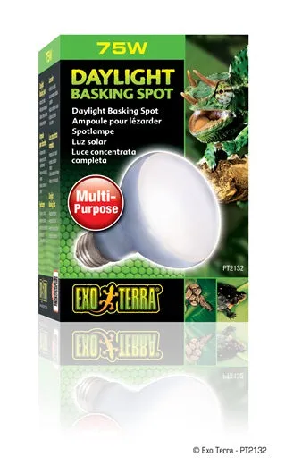 Exo Terra Daylight Basking Spot Lamps