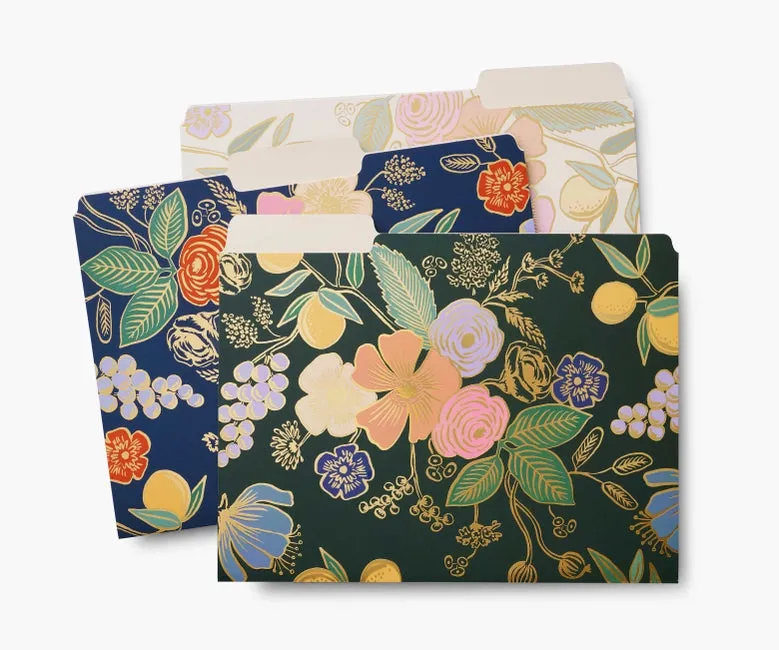 File Folder Set