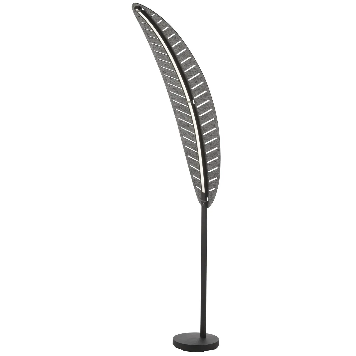 Palma LED Floor Lamp in Matte Black