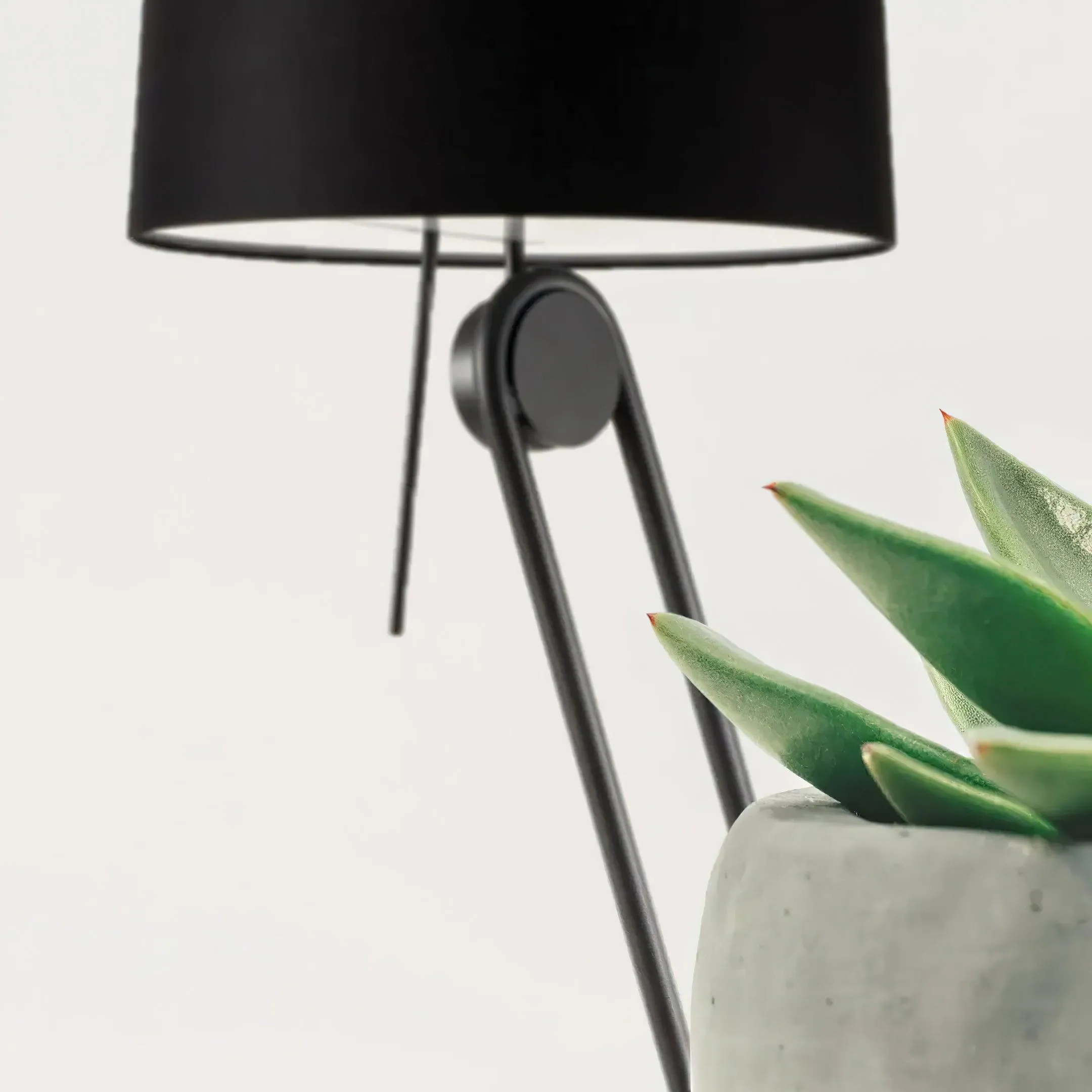 Sibaca Floor Lamp