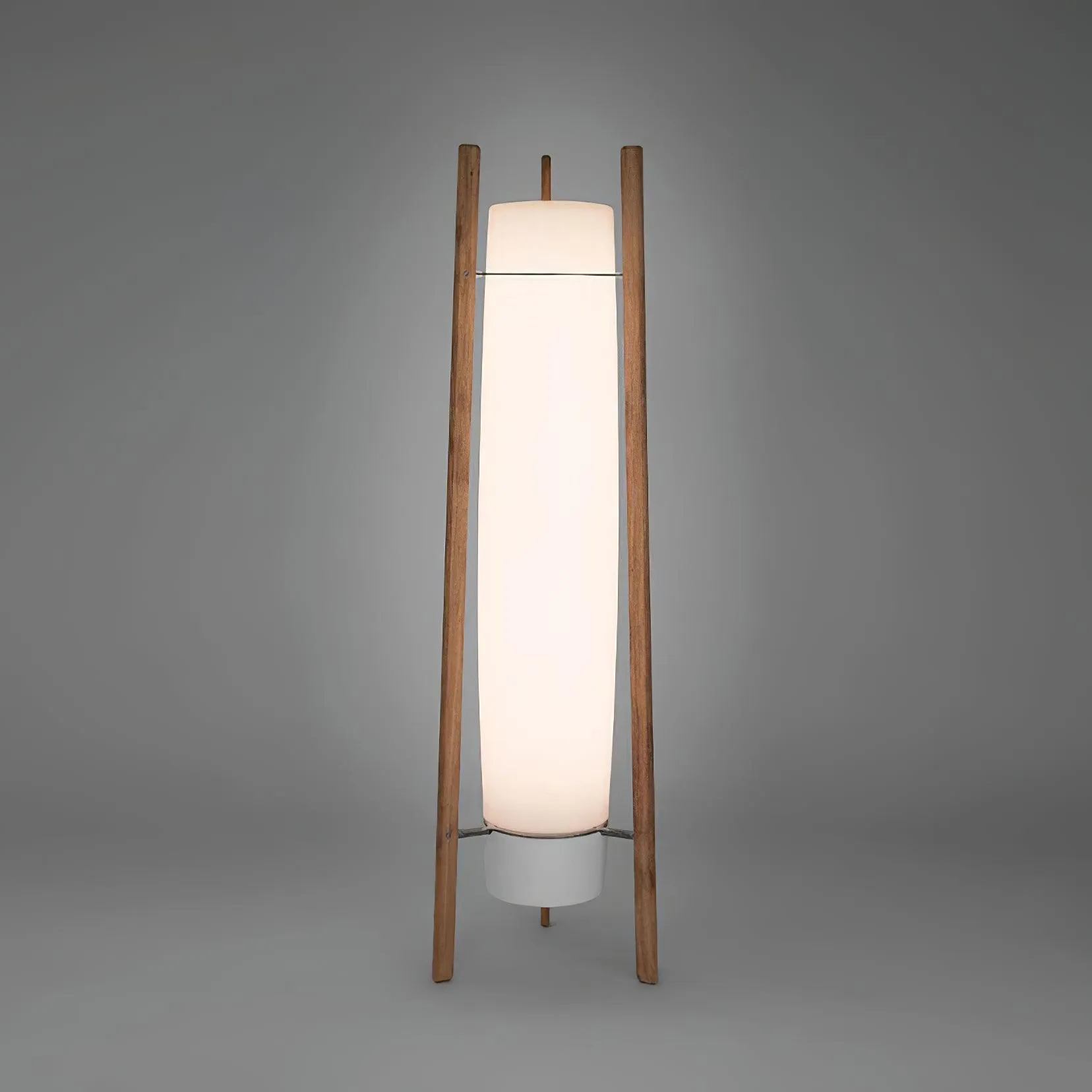 Side LED Floor Lamp