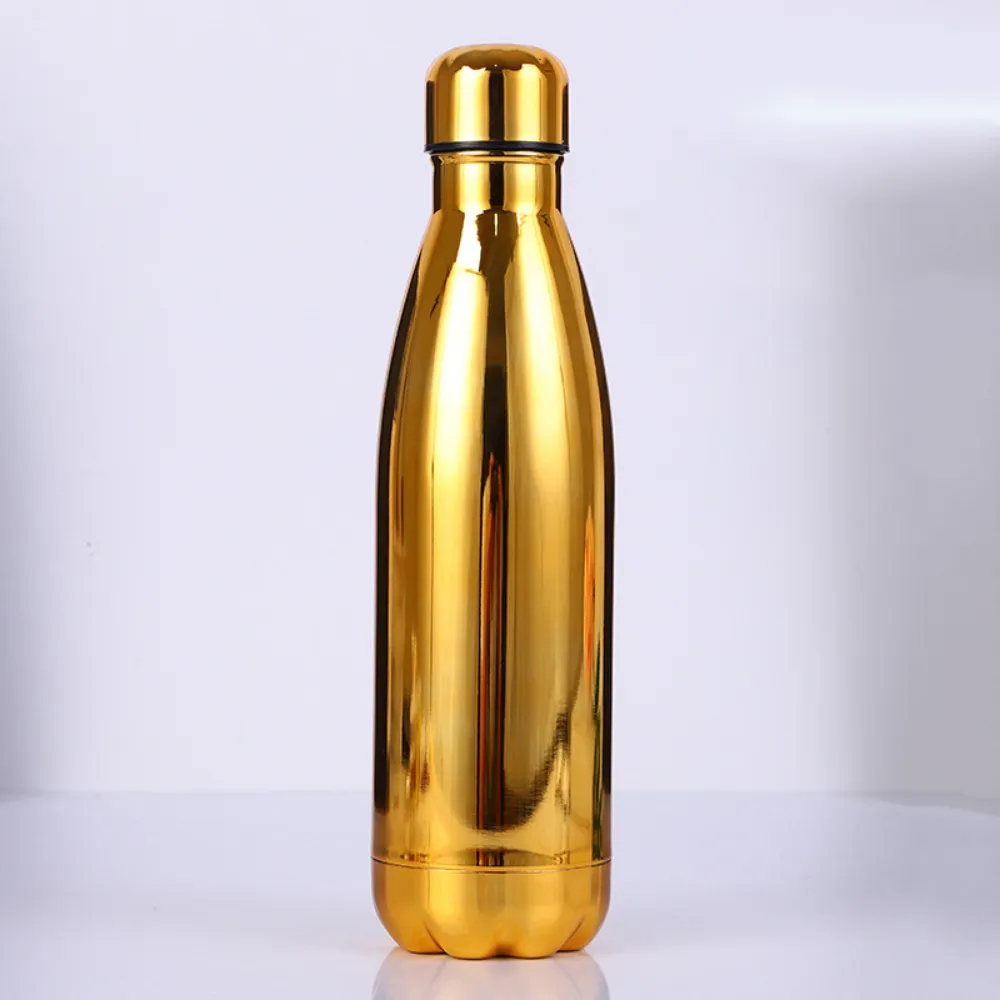 Stainless Steel Water Bottles