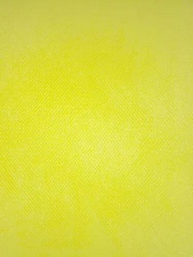 Tutu Net - 54-inches Wide Lemon By the Bolt