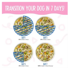 Weruva Meals N More Belly Belly Nice Variety Pack Dog Food 10 pack